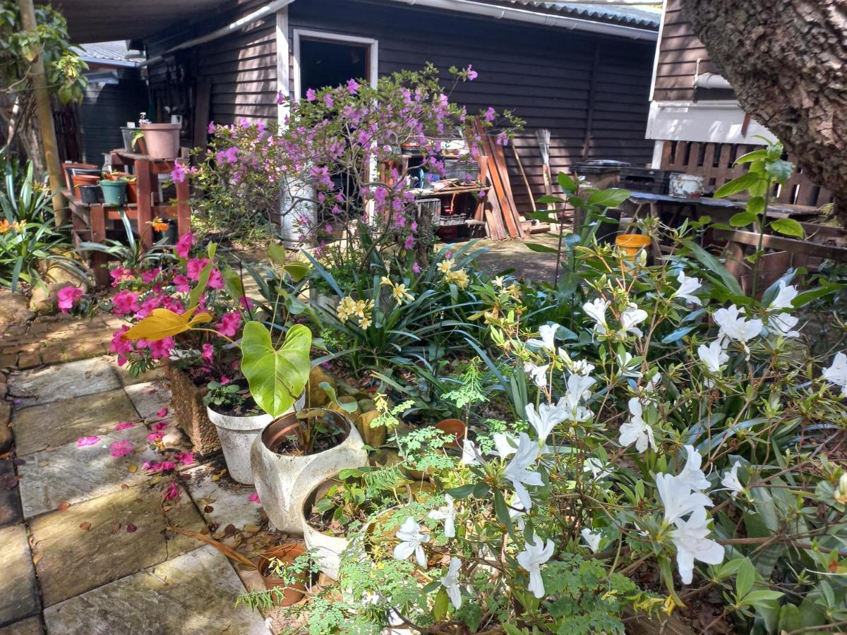 Glen House Appartement Brenton-on-Sea Buitenkant foto